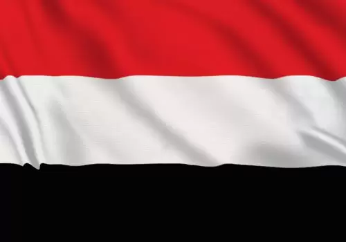 ErpVize Danışmanlık