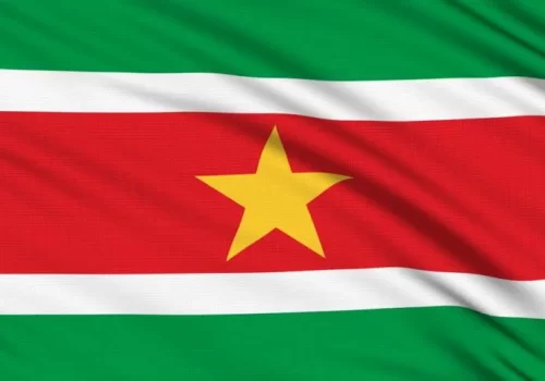 ErpVize Danışmanlık