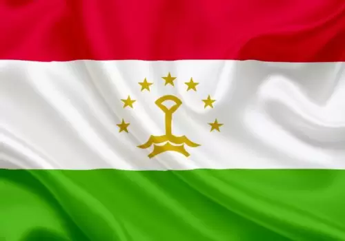 ErpVize Danışmanlık