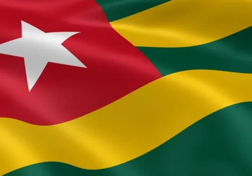 ErpVize Danışmanlık