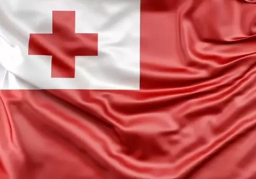 ErpVize Danışmanlık