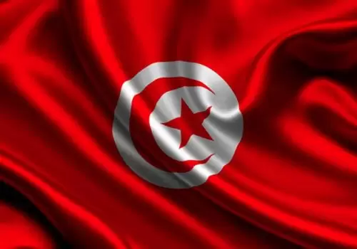 ErpVize Danışmanlık