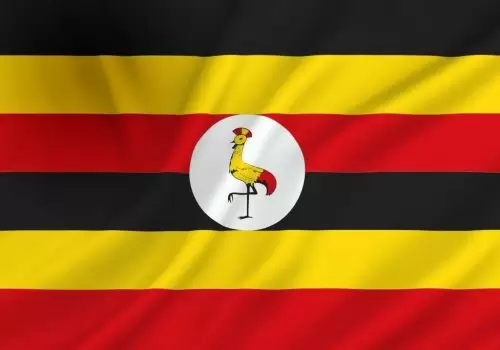 ErpVize Danışmanlık