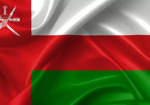 ErpVize Danışmanlık