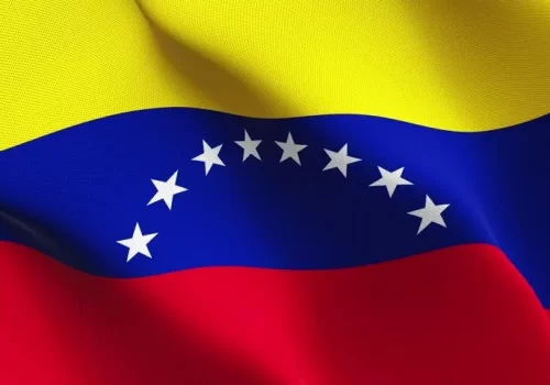 ErpVize Danışmanlık