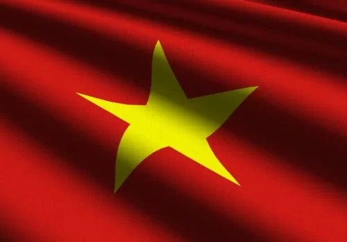 ErpVize Danışmanlık